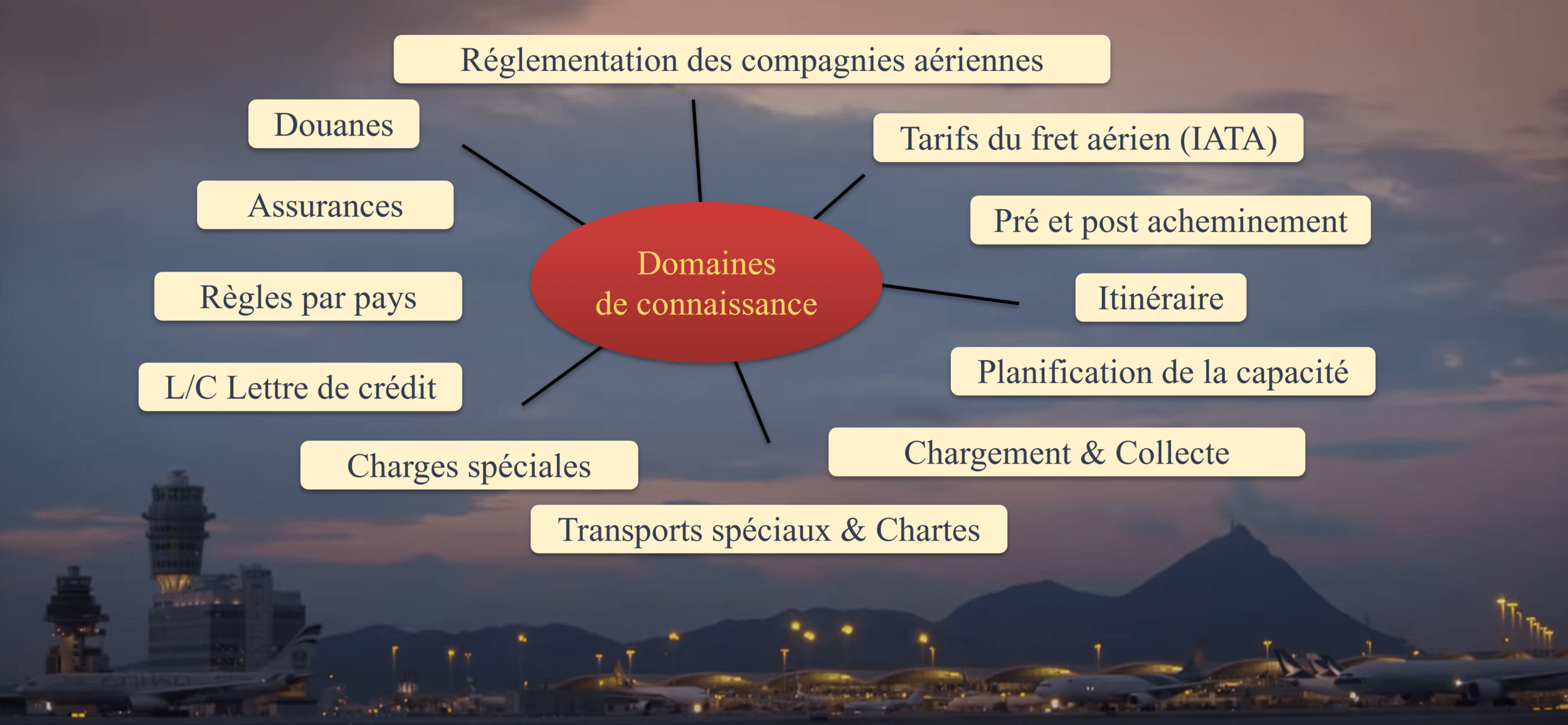 e-Transport - Transport aérien